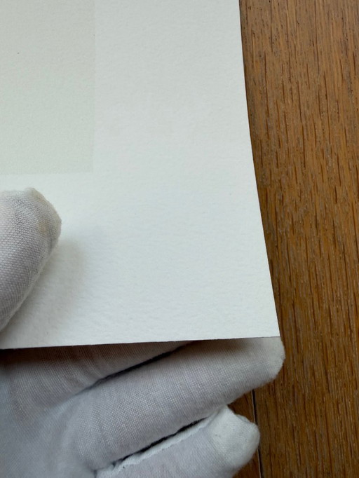 Egon Schiele (1890-1918), Zonnebloemen, 1917, Gedrukt in Italië