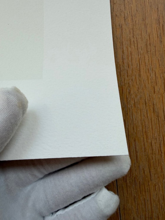 Image 1 of Egon Schiele (1890-1918), Zonnebloemen, 1917, Gedrukt in Italië