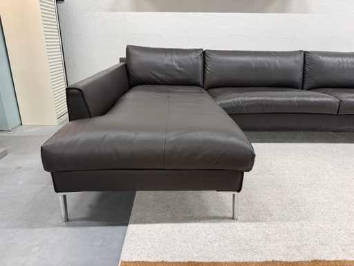 Design on Stock Heelz Corner Sofa marron leather 312