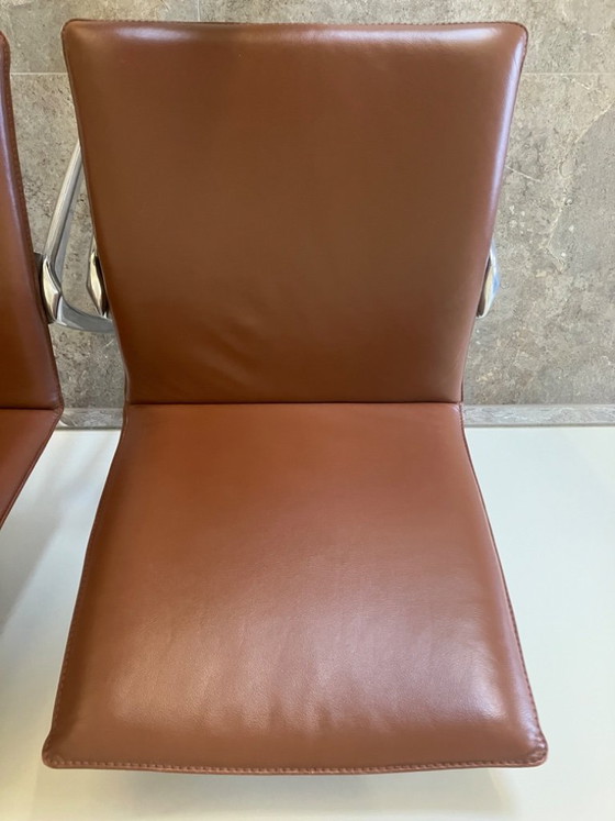 Four dining chairs in brown leather and metal, Leolux, Modern (photo 5 of 8)