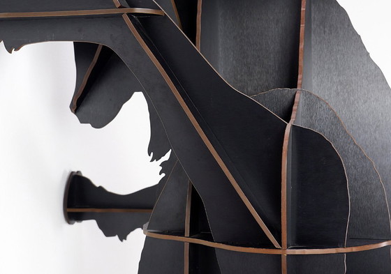 Image 1 of Mobile contenitore da parete Fausto "Ibex" in nero spazzolato di Ibride - Benoit Convers - Francia