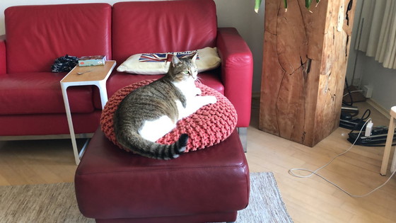 Image 1 of Lederen 2,5 zits bank Berden RVS onderstel