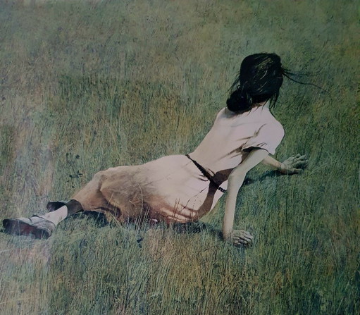 Andrew Wyeth "Christina's World" 1948 – schilderijen tekeningen, Glass, Paper (photo 2 of 9)