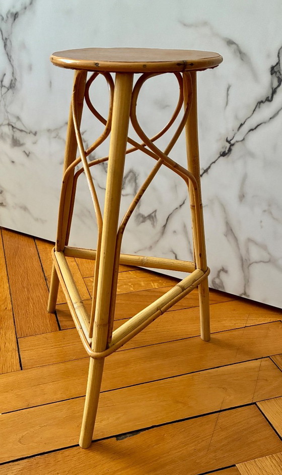 Vintage Plant table – Bamboo (photo 3 of 7)
