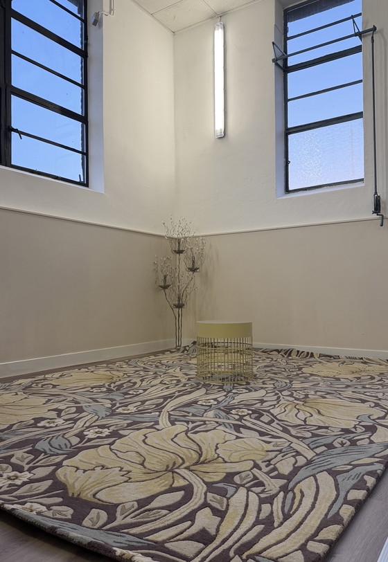 Image 1 of Brink en Campman Morris & Co Pimpernel 28808