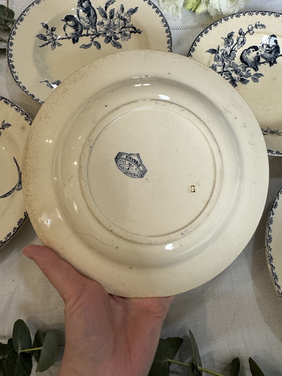 Image 1 of Juego de 5 platos favoritos