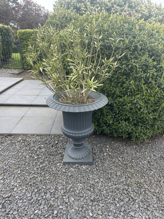 Image 1 of vasi da fiori in ghisa