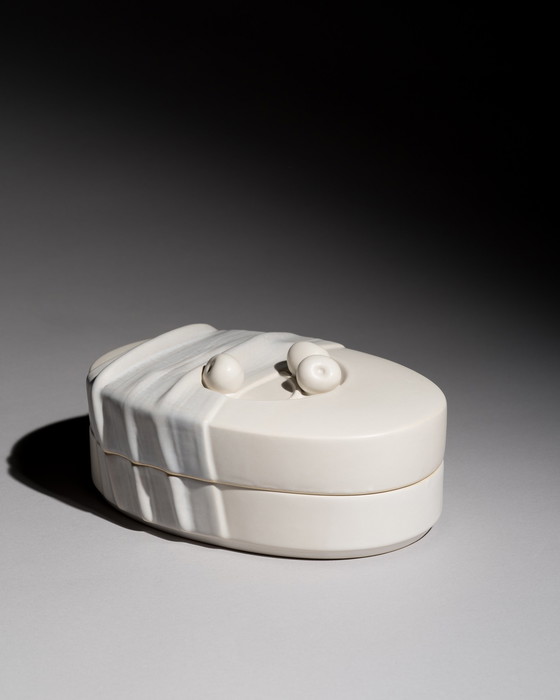 Image 1 of Rosenthal Antje Brüggemann-Breckwoldt „Stillleben“ Deckeldose XL mit Originalverpackung