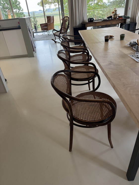 Set van 8 Drevounia/Thonet Stoelen – Eetkamerstoelen, Rattan, Wood (photo 2 of 5)