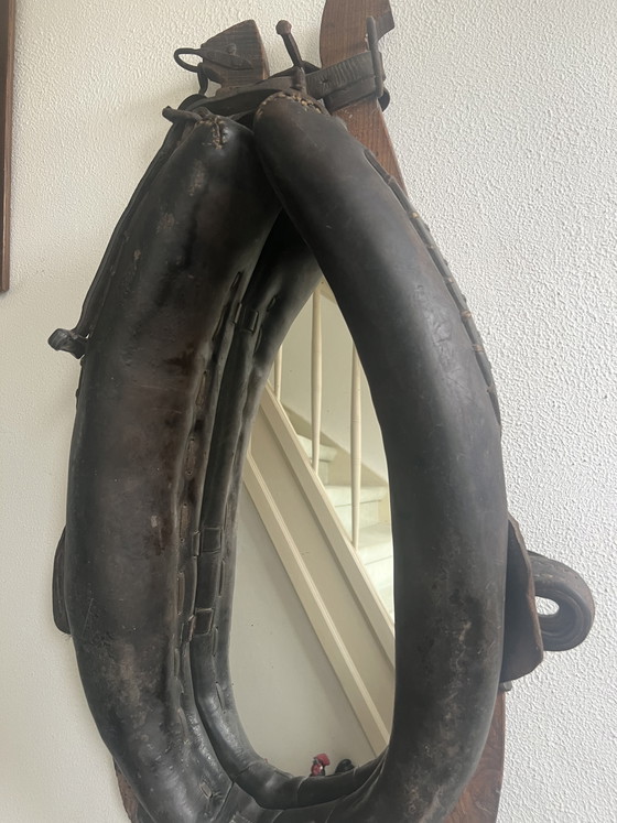 Image 1 of Spiegel van paardenhalster