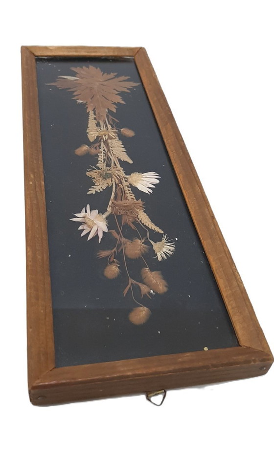 Image 1 of Cornice in legno vintage con fiori secchi naturali, erbario Edelweiss