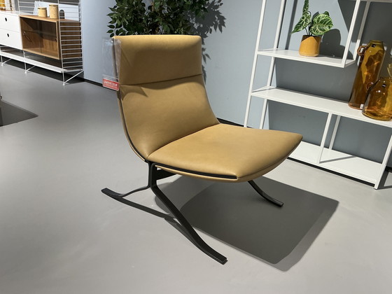 Image 1 of Eyye Juno Armchair Showroom Model