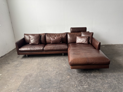 Montis Axel Designersofa Couch Leder Kastanie 
