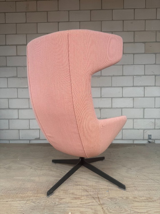 Image 1 of Sedia Moroso Take A Line For A Walk