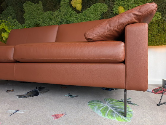 Canapé design COR Conseta – Canapés 2 places, Leather (photo 5 of 13)