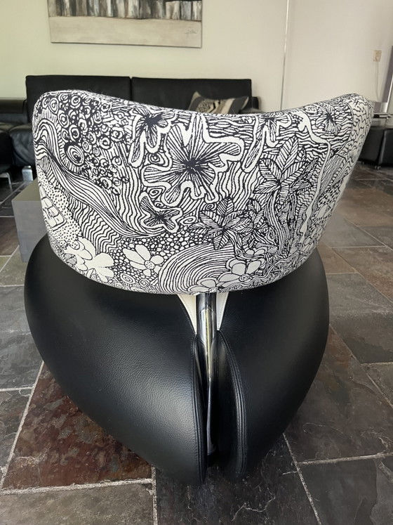 Leolux Pallone Pa – Sillones, Leather, Metal (photo 4 of 6)