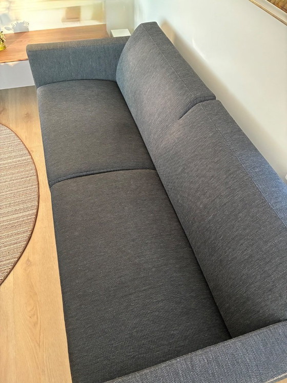 Image 1 of Artifort Mare 2.5-seater