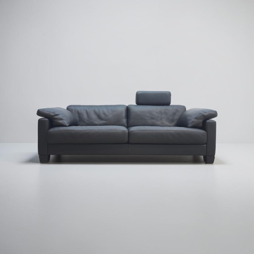 De Sede ds 17 Wk Living Leather Sofa Couch Designer Sofa Black Top