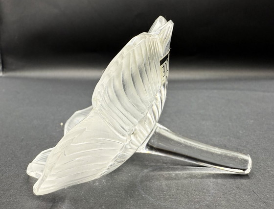 Image 1 of Lalique - Anemoon