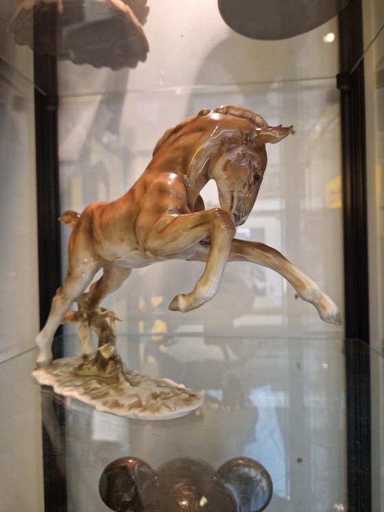 Image 1 of Hutschenreuther Kunstabteilung – Steigerend Paard | Porselein | ca. 1950–1970
