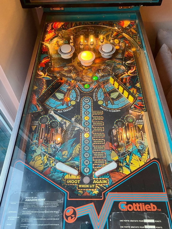 Image 1 of Flipper Gottlieb