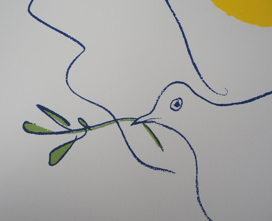 Pablo Picasso: Dove of the Future, Signed Lithograph – Lithographs & prints, Paper (photo 5 of 6)