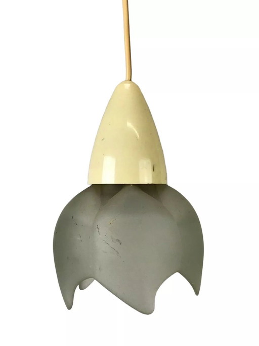 60s 70s Erco ceiling lamp ceiling lamp lamp lamp glass space age