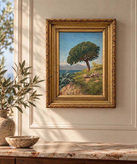 Antico Dipinto a Olio Cannes La Bocca 1909 – Tom Evans – Dipinti e disegni, Legno, Altro (photo 2 of 10)
