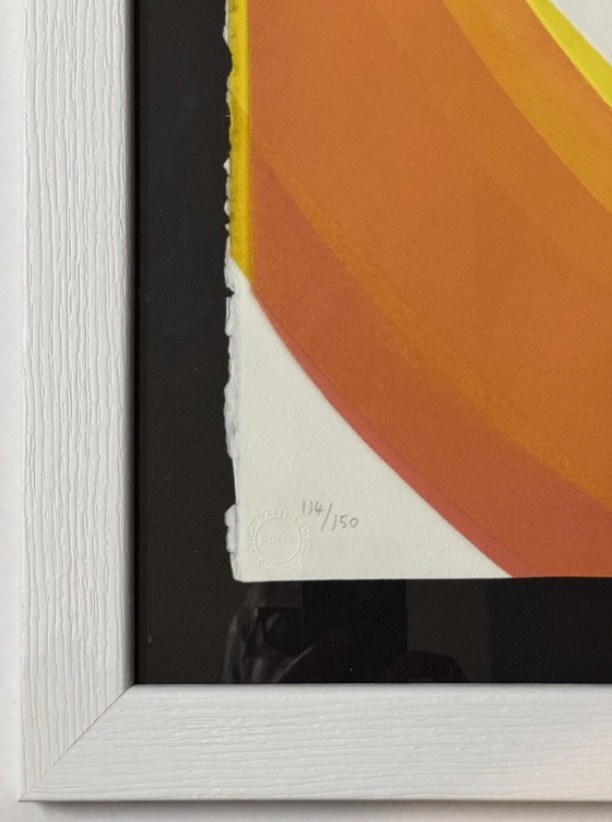 Image 1 of Aquatint-ets van Piero Dorazio, 58 x 76 cm, “Verenigd Europa - Frankrijk”
