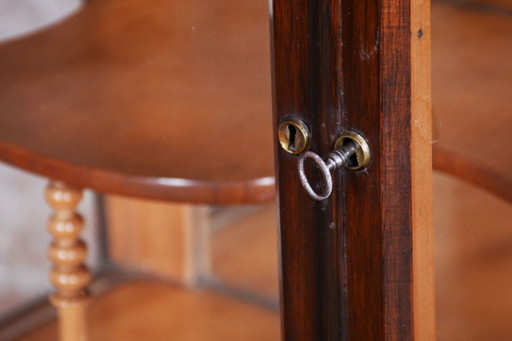 Restored Biedermeier Display Cabinet, Maple, Walnut, Polish, Czech, 1850s – vitrinekasten, Glass, Wood (photo 2 of 18)
