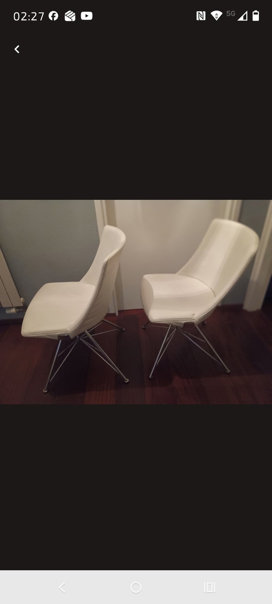 Image 1 of Sedia Bert Plantagie Rho Spin in vari colori di pelle