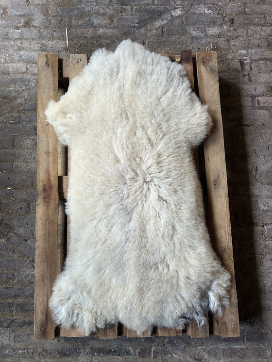 Image 1 of Piel de oveja blanca natural | 120x60x7cm