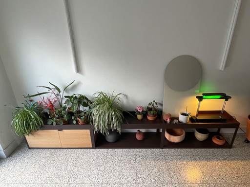 Hay low brown rack New Order