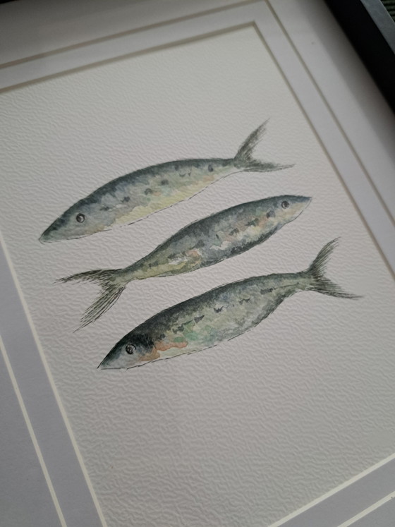 Image 1 of Origineel aquarel schilderij sardientjes inclusief lijst frame