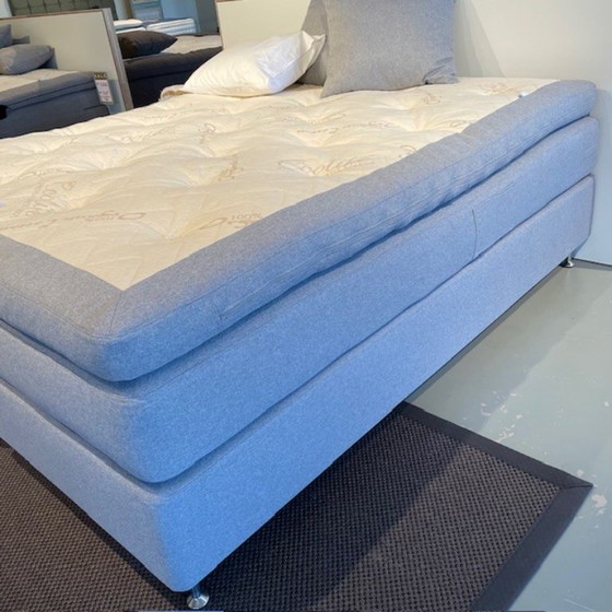 Image 1 of Ecolife - Agave Continental