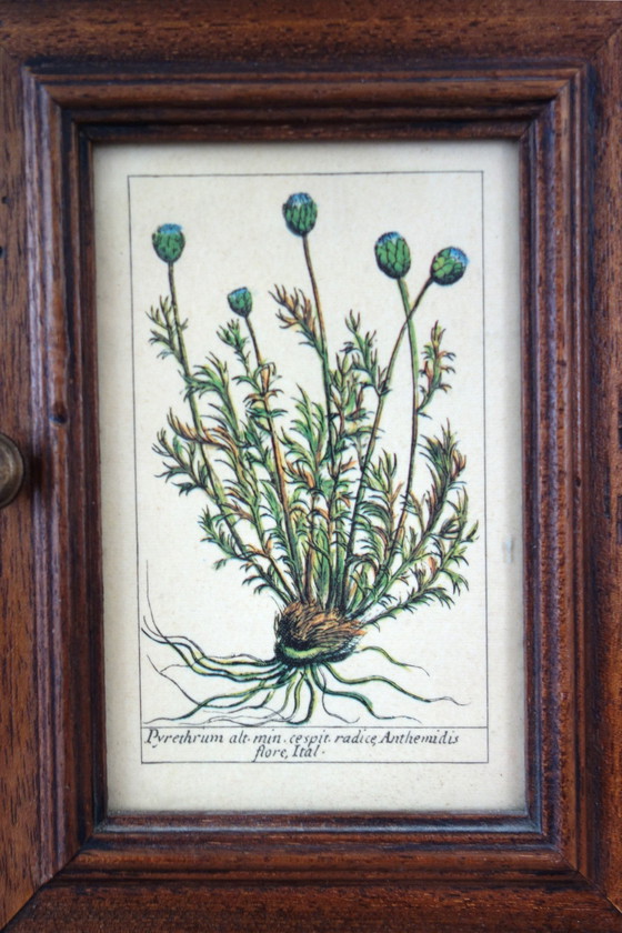 Image 1 of Boite à Clés et Porte Lettres Vintage Gravure Botanique