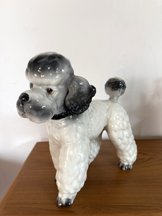 Caniche en céramique vintage, Italie années 60 – Objets déco, Ceramic (photo 4 of 6)