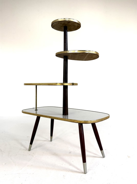 Image 1 of Vintage XL plant table '60