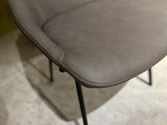 Image 1 of Maple Four