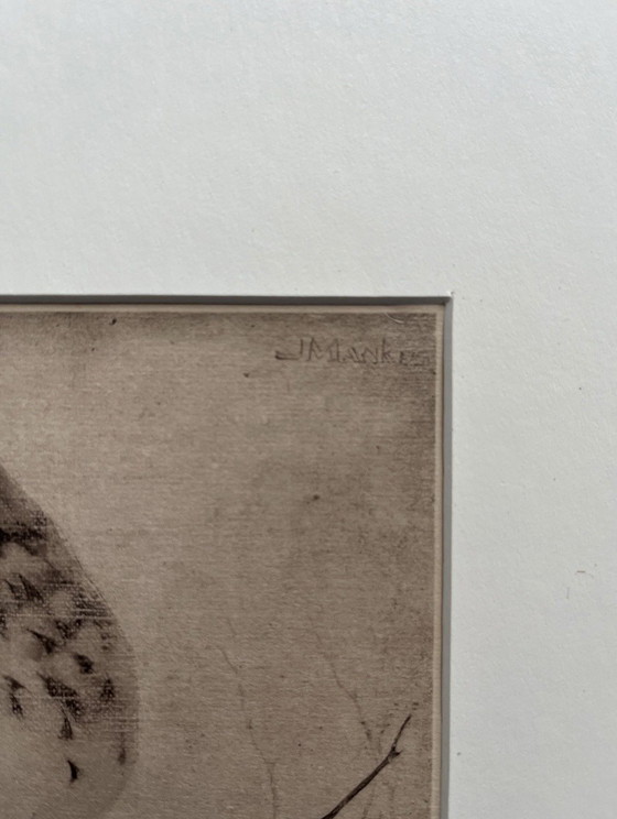 Jan Mankes 1889-1920 / Heliograbado Zorzal en rama 1923 – Litografías y grabados, Paper (photo 6 of 11)