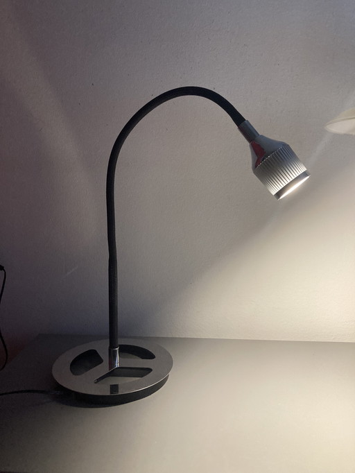 Lampe de bureau Trio Leuchten