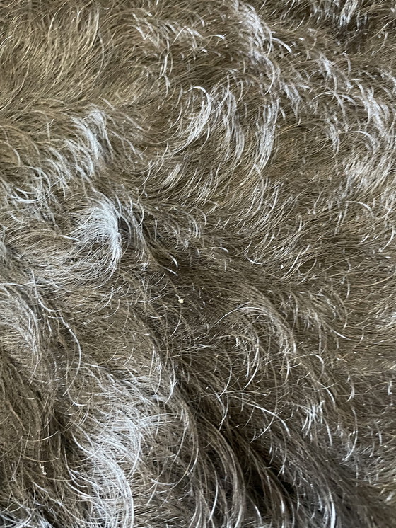 Image 1 of Pelle di mucca completamente nera