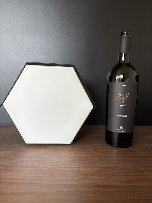 Raak vintage plafondlamp (type B-1091)