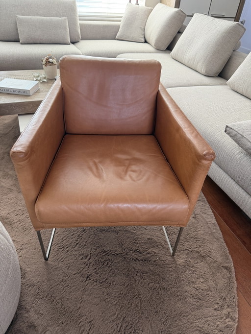 Bert Plantagie Sillón Pallas