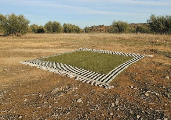 Image 1 of Handgeweven vloerkleed van zuivere wol, traditionele stijl, afmeting 2,5/3,5 m