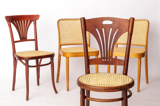 Set of 4 Restored Viennese Café Chairs – Early 20th Century, Hand-Caned Seats