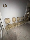 6 Medaillonstühle im Louis XVI-Stil