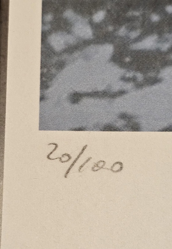 Image 1 of ANDY WARHOL (edizione limitata) MOONWALK 20/100