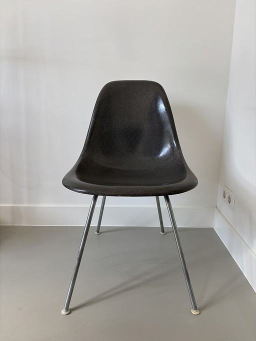 Eames Herman Miller Gray