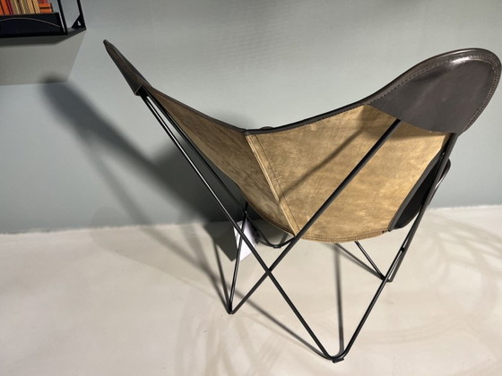 Papillon nero – Oxdenmarq, Poltrone (photo 5 of 5)